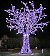 LED ILUMINATED TREES