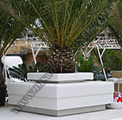 Palmiyeli LED plaj locası
